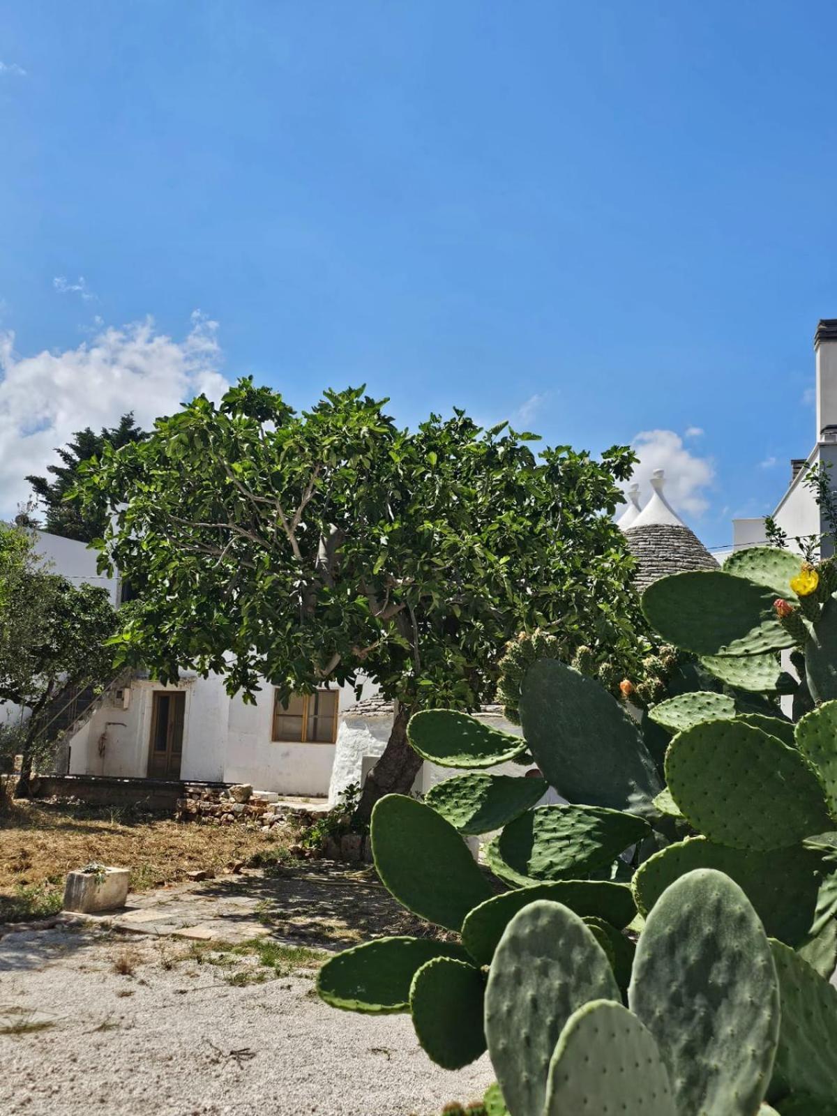 River Trulli Oasi Di Pace In Sito Unesco Alberobello Eksteriør bilde