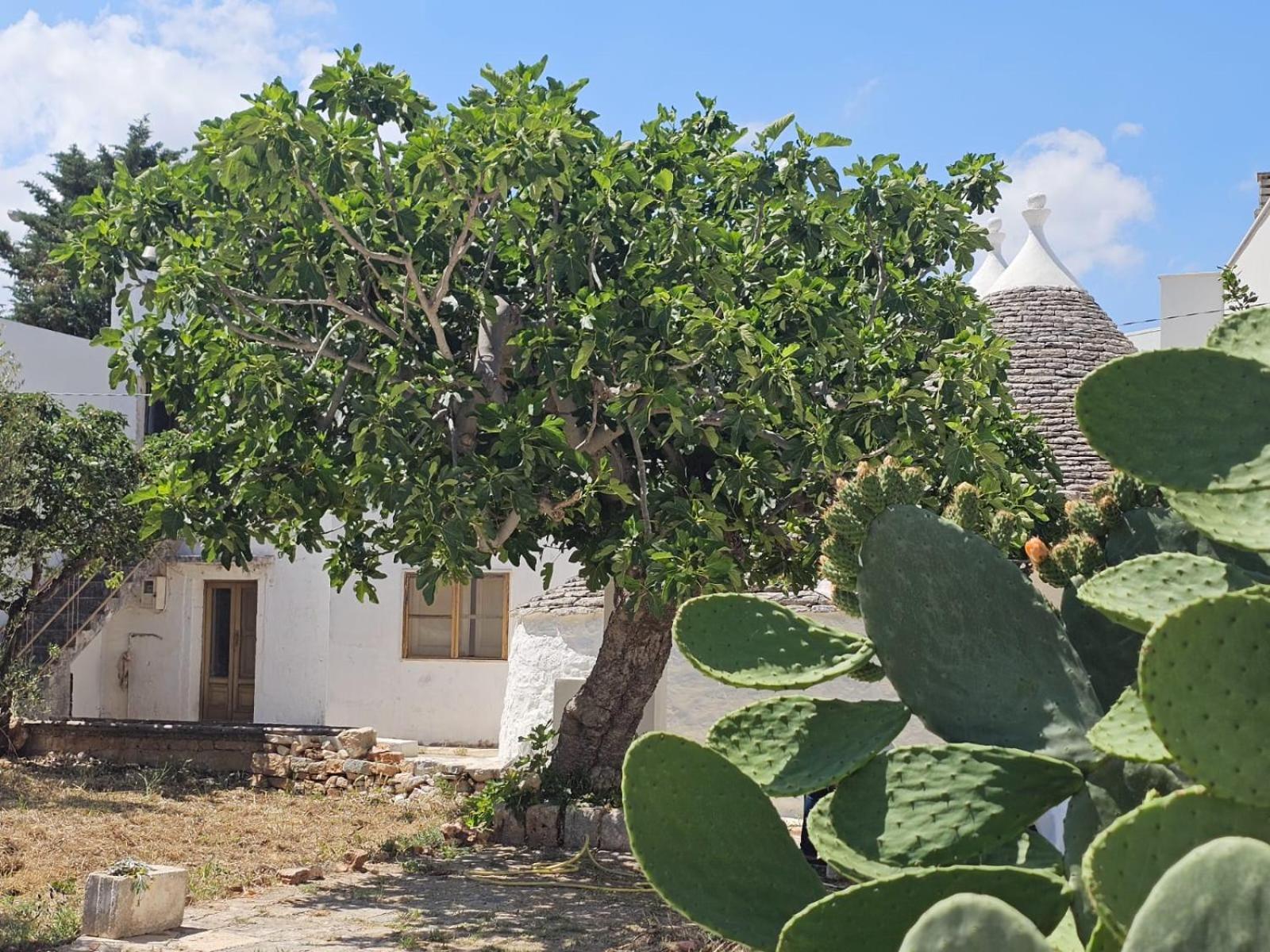 River Trulli Oasi Di Pace In Sito Unesco Alberobello Eksteriør bilde