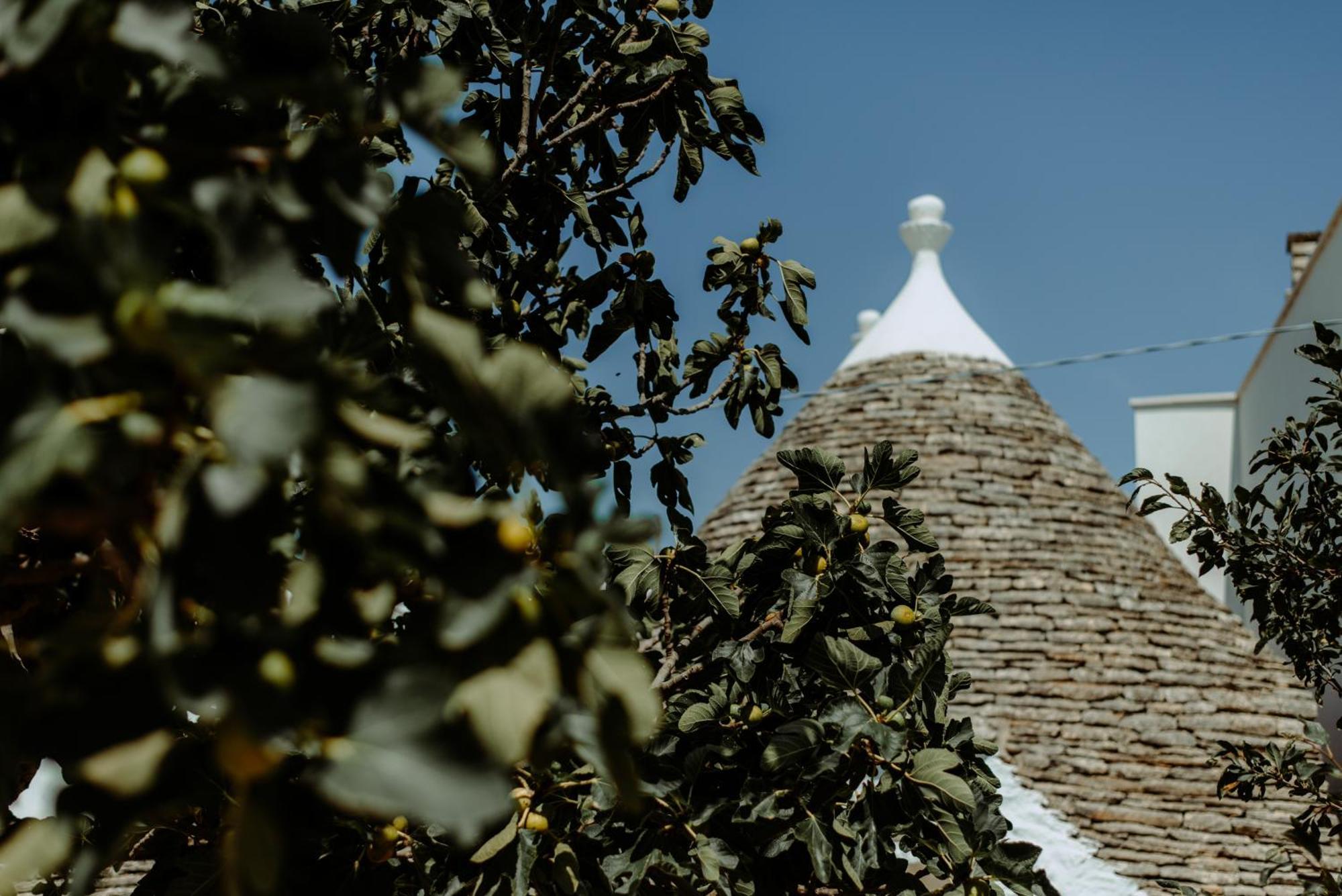River Trulli Oasi Di Pace In Sito Unesco Alberobello Eksteriør bilde